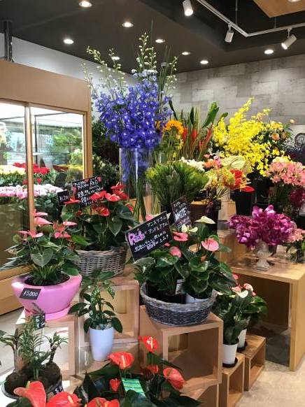 「花の千正園」　（愛知県名古屋市熱田区）の花屋店舗写真4
